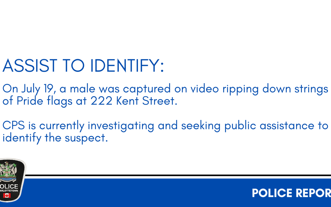 Assist to Identify – Vandalized Property