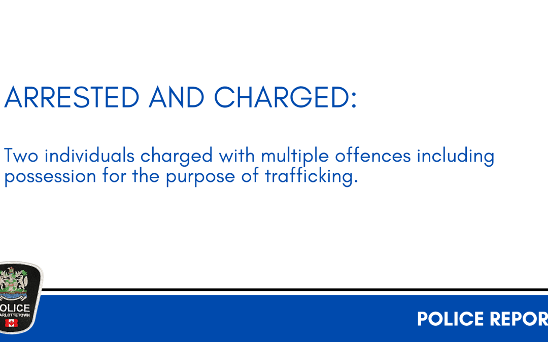 Two individuals charged with multiple offences including possession for the purpose of trafficking
