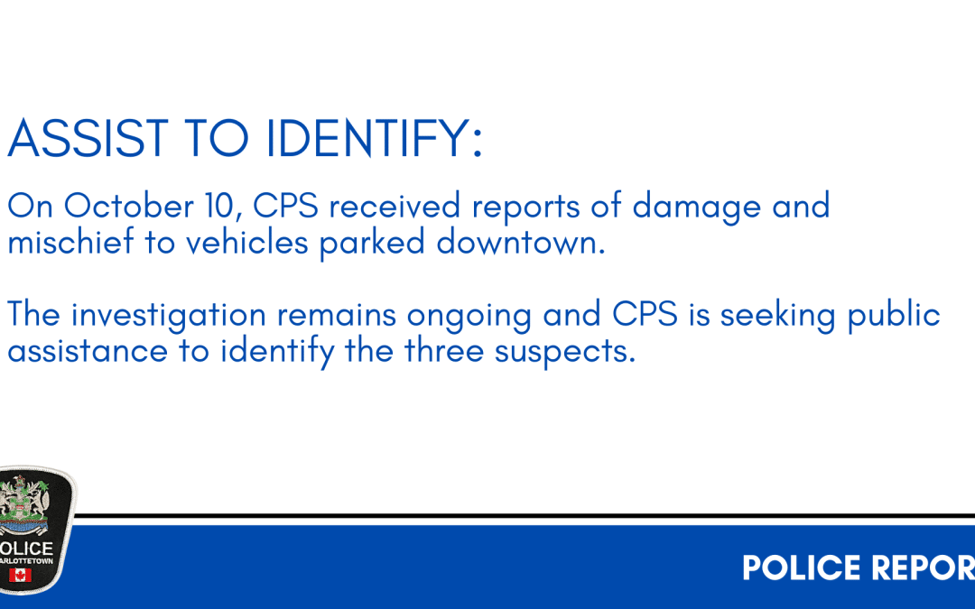 Assist to Identify: Mischief Suspects